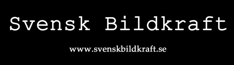 Svensk_Bildkraft_banner_25x7_100_dpi.jpg